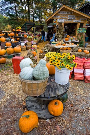 Framed farm stand in Holderness, New Hampshire Print