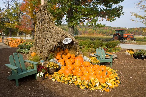 Framed Moulton Farm farmstand in Meredith, New Hampshire Print
