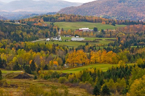 Framed Route 145 in Stewartstown, New Hampshire Print