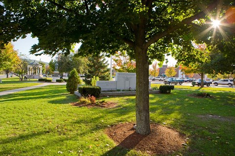 Framed Town Green in Claremont, New Hampshire Print