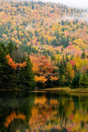 Framed Ammonoosuc Lake in fall, White Mountain National Forest, New Hampshire Print