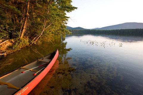 Framed White Lake State Park, New Hampshire Print