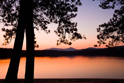 Framed White Lake State Park, New Hampshire Print