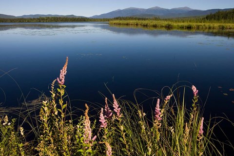 Framed Big Cherry Pond, New Hampshire Print