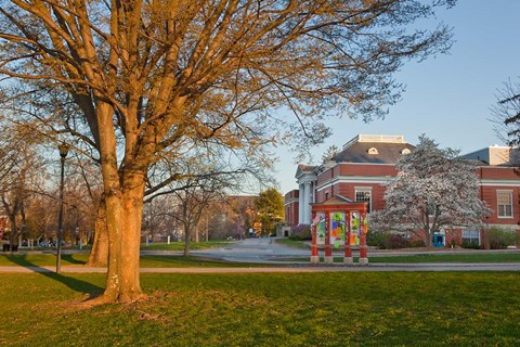 Framed Education, University of New Hampshire Print