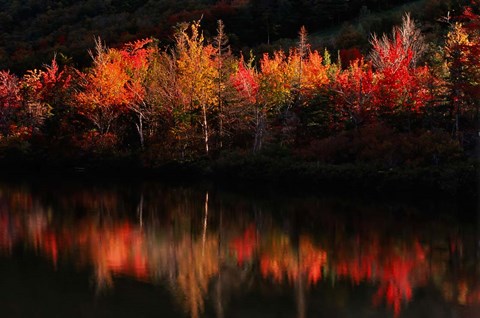 Framed Fall Foliage with Reflections, New Hampshire Print