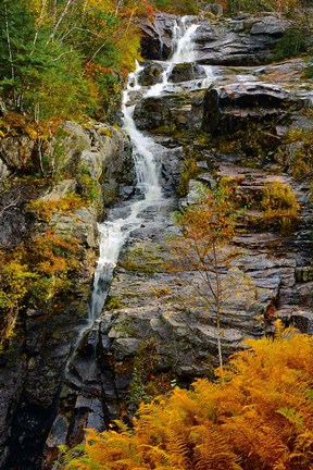 Framed Autumn at Silver Cascade, Crawford Notch SP, New Hampshire Print