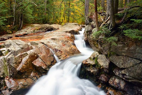 Framed Autumn on Pemigewasset River, Franconia Notch SP, New Hampshire Print