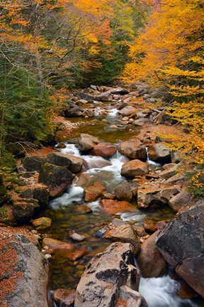 Framed Liberty Gorge, Franconia Notch State Park, New Hampshire Print