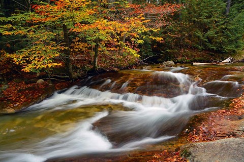 Framed Pemigewasset River, New Hampshire Print