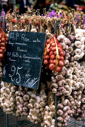 Framed Ropes of Garlic in Local Shop, Nice, France Print