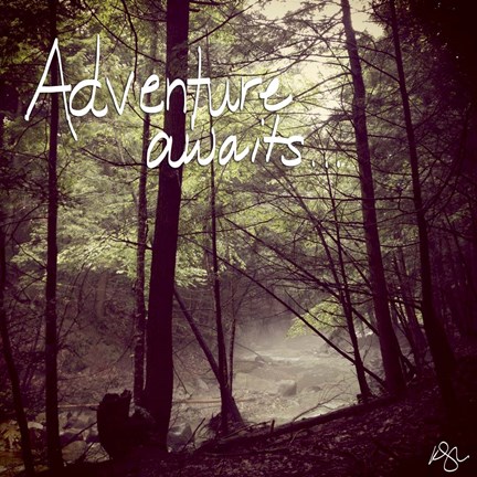Framed Adventure Awaits Print