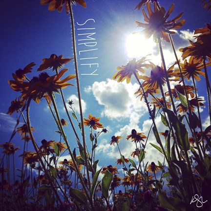 Framed Simplify Print