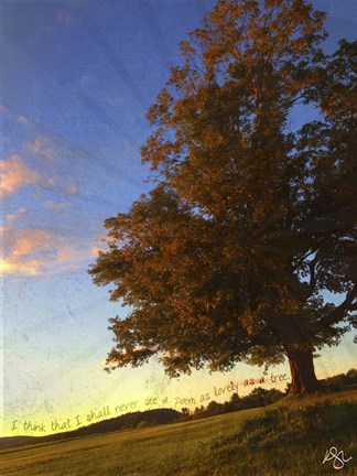 Framed Tree Poem Print