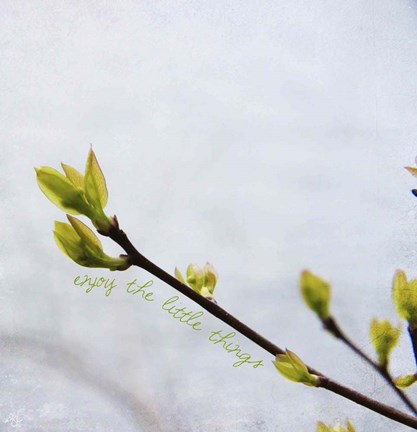 Framed Enjoy The Little Things Print