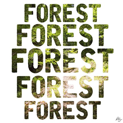 Framed Forest Repeat Print
