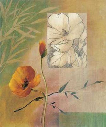 Framed Fleurs et Couleurs II Print