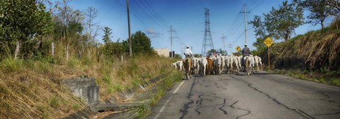 Framed Men with Horses on Road, Costa Rica Print