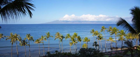 Framed Palm Trees on the Beach, Maui, Hawaii Print