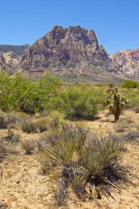 Framed Red Rock Canyon National Conservation Area, Las Vegas, Nevada Print