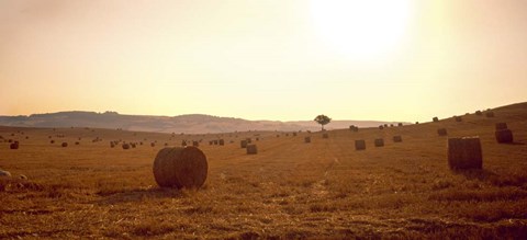 Framed Hay Bales, Tuscany, Italy Print