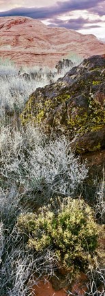 Framed Cliffs in Snow Canyon State Park, Utah Print