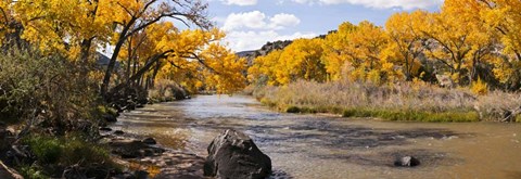 Framed Rio Grande River, Pilar, New Mexico Print