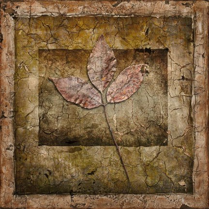 Framed Autumn Leaves II Print