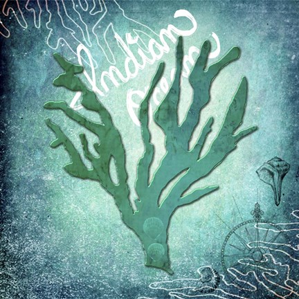Framed Indian Ocean Coral Print