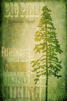 Framed Big Piney Print