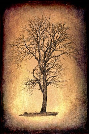 Framed For the Love of Trees II Print