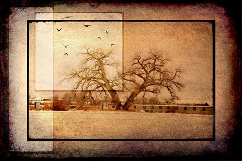 Framed For the Love of Trees V Print