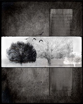 Framed Black Tree 1 Print