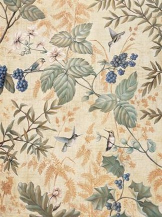 Framed Nature II Print