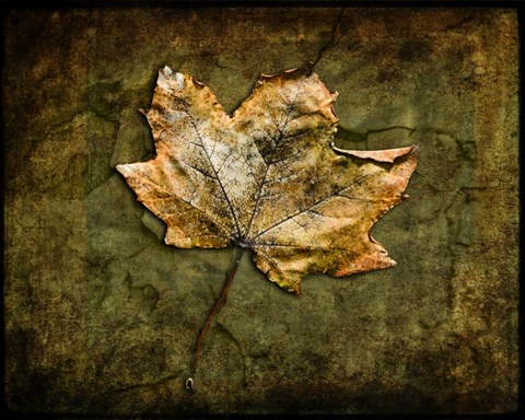 Framed Metallic Leaf 1 Print