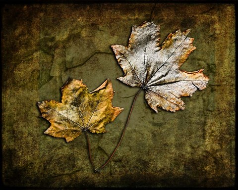 Framed Metallic Leaf 2 Print