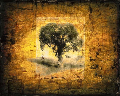 Framed Shadow Trees Print