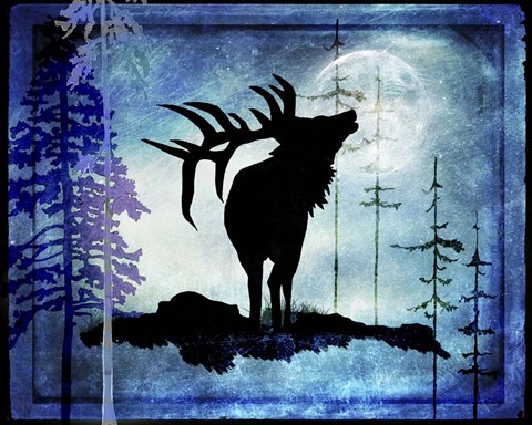 Framed Midnight Elk Print