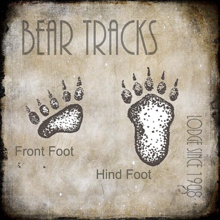 Framed Moose Lodge 2 - Bear Tracks 2 Print