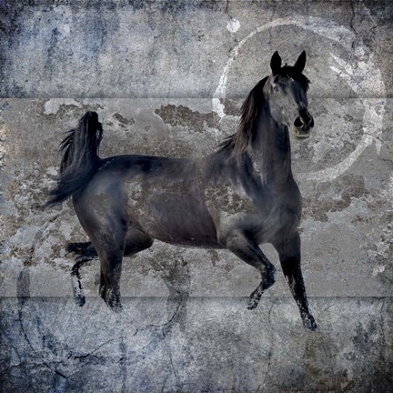 Framed Black Mare 2 Print