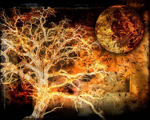 Framed Raven&#39;s World Print