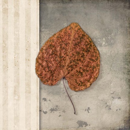 Framed Lodge Leaf 2 Print