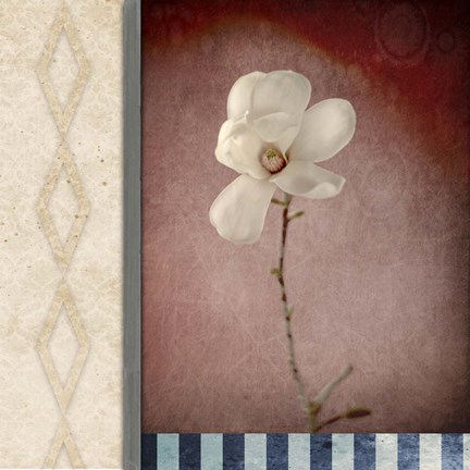 Framed Magnolia Diamond 1 Print