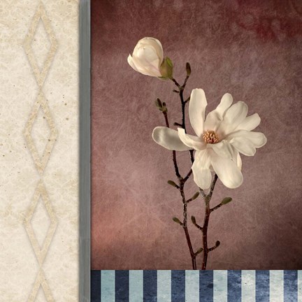 Framed Magnolia Diamond 2 Print