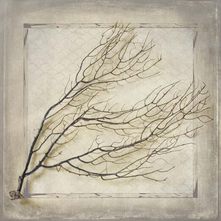 Framed Starfish Sea Leaf Print