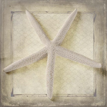 Framed Starfish Print