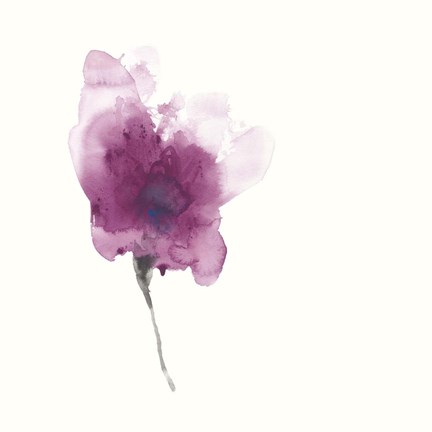 Framed Expressive Blooms II Print