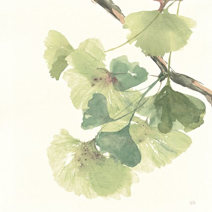 Framed Gingko Leaves II Light Print