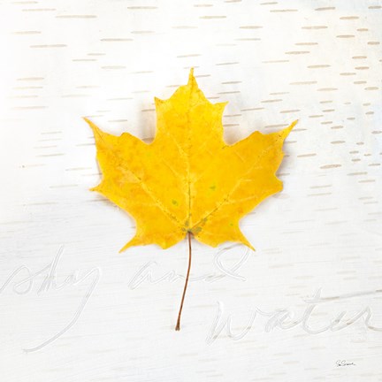 Framed Autumn Colors II Print