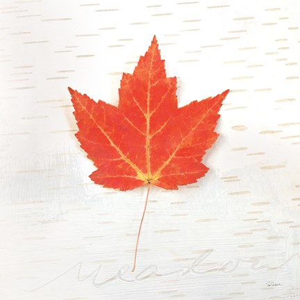 Framed Autumn Colors I Print